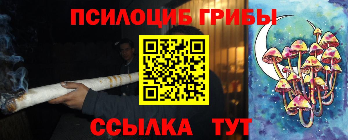 Галлюциногенные грибы прущие грибы Барабинск